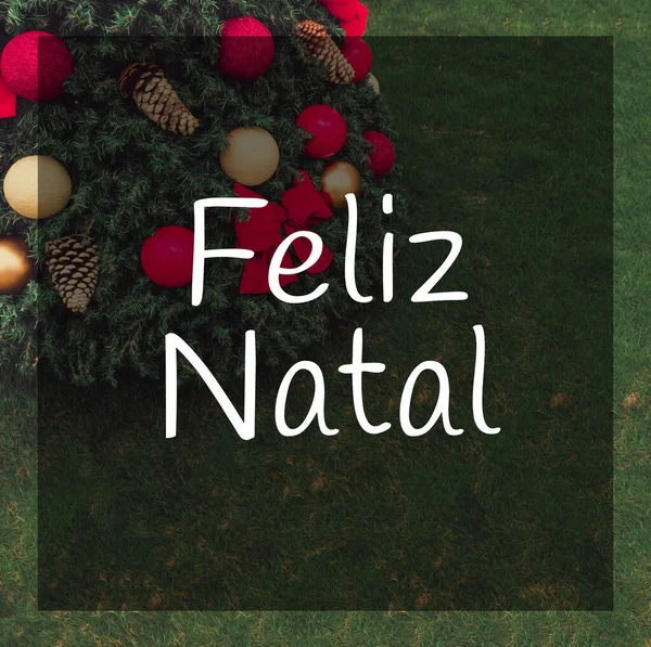 Buon Natale scritto in lingua portoghese nell'albero di Natale — Foto Stock