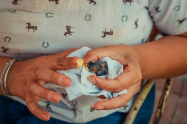 Yavru kuşu mama ile besliyorum..