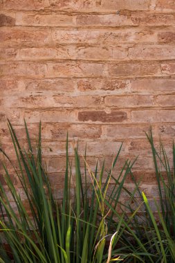 Duvar Modern Turuncu Tuğla Duvar dokusu Arkaplanı.