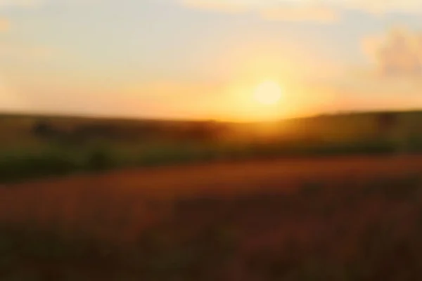 Extracción Borrosa Del Campo Rural Fondo Bokeh Plantación Atardecer —  Fotos de Stock