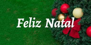 Portekizce Mutlu Noeller mesajı. Noel arkaplanı çimlerin üzerinde Xmas ağacı. 