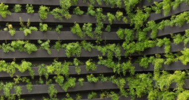 Genç bitkilerin yetiştiği dikey bir bahçe. Sürdürülebilir yaşam. konsept görüntü. Metin için boşluk.