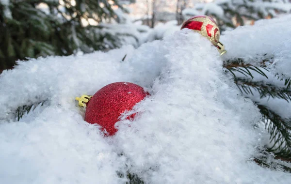 杉木树枝雪中的红色圣诞球 — 图库照片