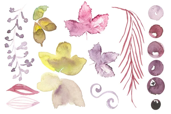 Uppsättning Akvarell Violett Blommig Isolerade Beståndsdelar Vitt För Dekoration Och — Stockfoto