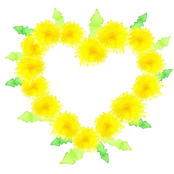 Форма Сердца Желтого Цветущего Акварельного Одуванчика Изолирована Белом Фоне Пространством — стоковое фото