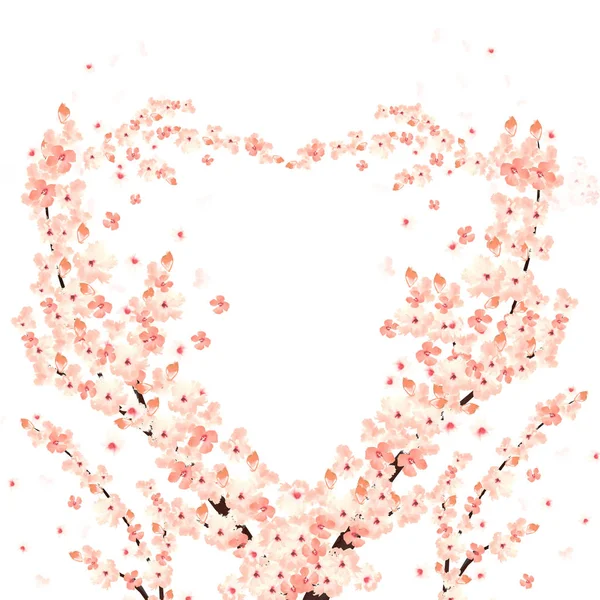 Rami Sakura Forma Cuore Fioriti Isolati Sfondo Bianco — Foto Stock