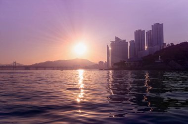 sunset Bulvarında Busans gökdelenler, köprü ve Deniz Parkı görüntüleyin