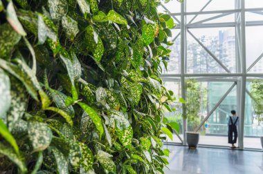 kadın silueti ile modern binada dikey Bahçe görünümünü kapat