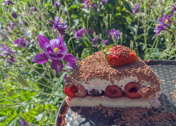 piece of chocolate fruit cake decorated with strawberry with blooming violet Aquilegia on background