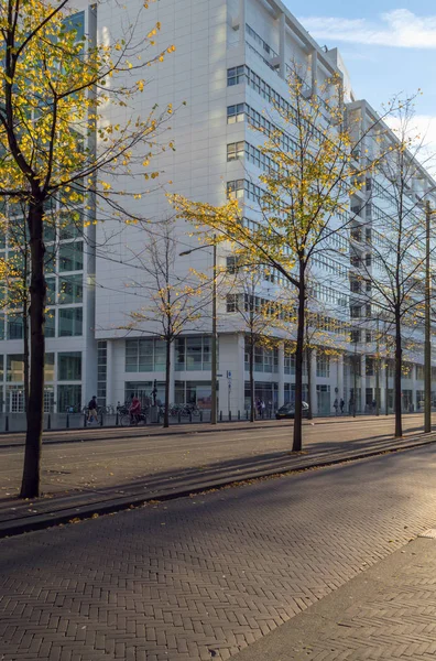 Höstlig Träd Gatan Haag Med Moderna Byggnader Fasader Bakgrund — Stockfoto