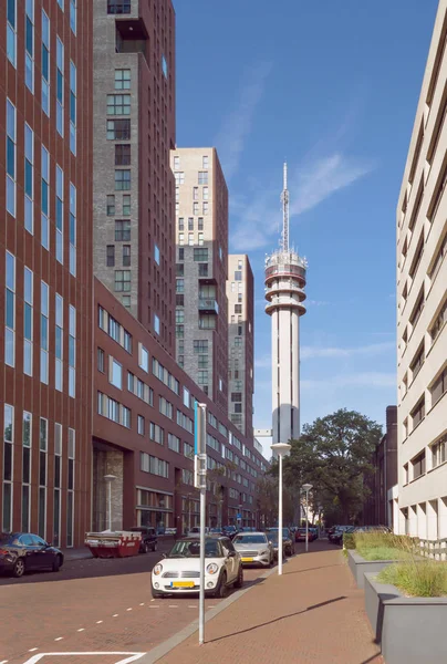 Uitzicht Een Van Straten Van Den Haag Met Auto Televisietoren — Stockfoto