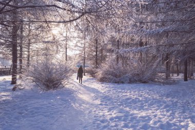 kış giysileri ağaçlarıyla çevrili yolu üzerinde yürüyen kadın silüeti hoarfrost içinde kaplı
