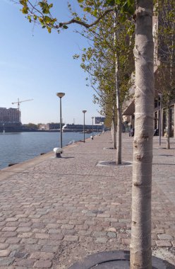 Rotterdam'da bina yakınındaki Sokağı olan kaldırım yol