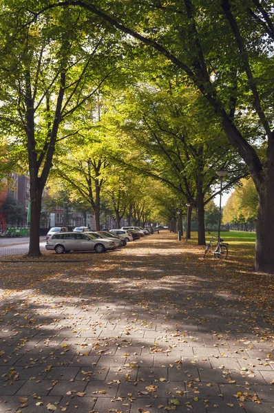 ロッテルダムにおける舗装の葉の落ちた秋と路地 — ストック写真
