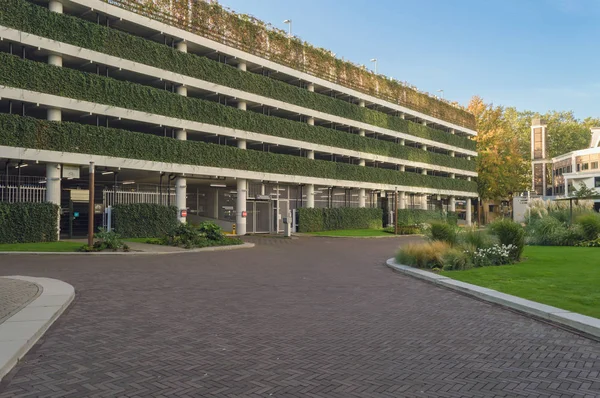 Tuin Parkeerplaats Bij Achtertuin Van Café Rotterdam Ochtend — Stockfoto