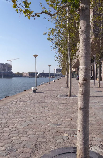 Rotterdam'da bina yakınındaki Sokağı olan kaldırım yol
