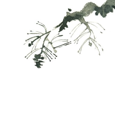 chinese black ink painting of pine branch isolated on white clipart