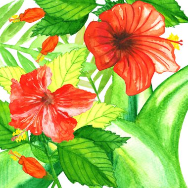 Kırmızı ebegümeci ile suluboya tropik bitkiler