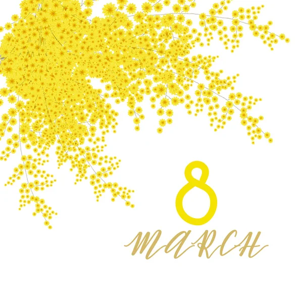 Υποκατάστημα Κίτρινο Ακουαρέλα Μιμόζα Λουλούδια Μαρτίου Σημείου — Φωτογραφία Αρχείου