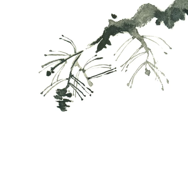 Chinese Black Ink Painting Pine Branch Isolated White Royalty Free Stock Photos