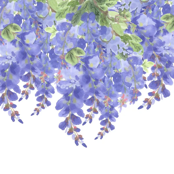 Zweige Der Violetten Tinte Glyzinien Isoliert Auf Weißem Hintergrund Mit — Stockfoto