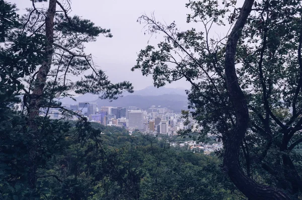 Panoráma města Soul lesem Namsan park — Stock fotografie