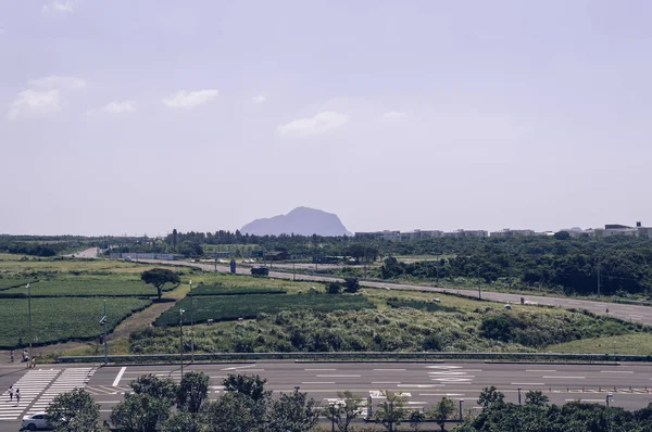 Jeju Adası'nda yolda yaya geçidi — Stok fotoğraf