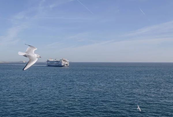 Sailing from Texel island ferry — Stock Photo, Image