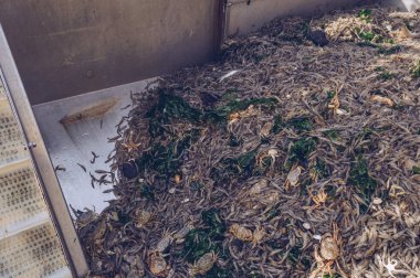 taze deniz ürünleri kapsayıcısında yalan yakaladı