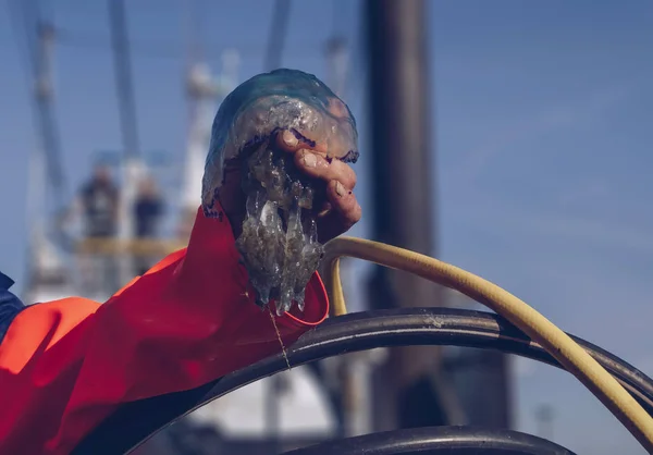 Mann hält Quallen mit bloßer Hand — Stockfoto