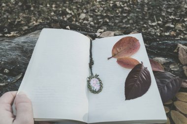 vintage kolye ve yaprakları ile açık kitap