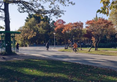 Güneşli bir akşamda Vondelpark 'ta bisiklet süren bir kadın. 
