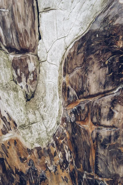 Коричневий камінь дерев'яна текстура — стокове фото