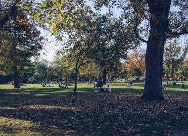 İnsanlar Vondelpark 'ta çimlerin üzerinde dinleniyor.