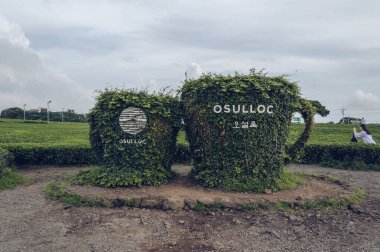 Osulloc Çay Müzesi isimli büyük sarmaşık çay fincanlarının manzarasını kapat