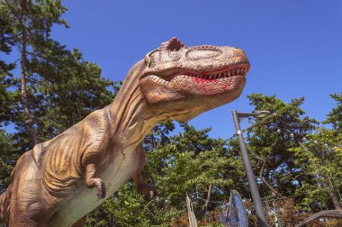 Busan, Güney Kore, 14 Eylül 2019: Güneşli bir günde Amnam Parkı 'nda Tyrannosaurus heykeli