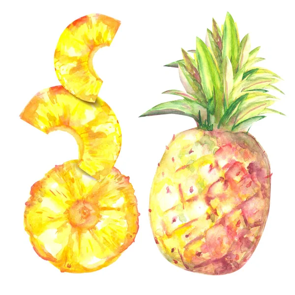 Ananas Aquarelle Avec Plusieurs Tranches Coupées Isolées Sur Fond Blanc — Photo