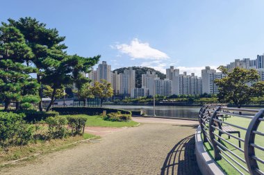 Busan manzaralı bisiklet yolu ve şehir manzaralı yokuş aşağı asfalt yollar