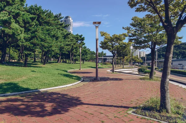 Sendero Ajardinado Del Parque Apec Naru Carril Bici Cerca Del — Foto de Stock