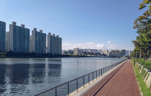 Carril Bici Del Parque Apec Naru Cerca Del Canal Con — Foto de Stock