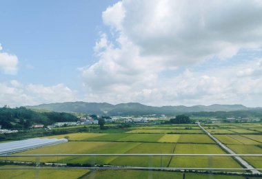 Sıcak bulutlu bir günde ekin dağları ve seraları olan Güney Kore kırsalındaki köy.