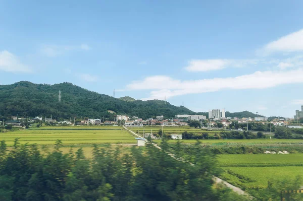 Blick Vom Zug Auf Kleine Koreanische Stadtlandschaft Mit Getreideanbau Und — Stockfoto