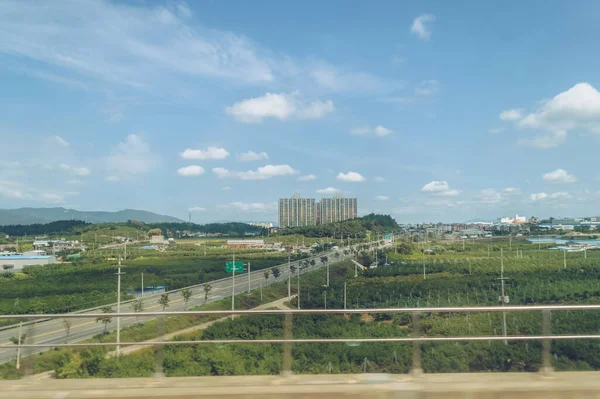 Güney Kore Giden Yolun Yukarısından Manzara Yanında Ekinler Büyüyor — Stok fotoğraf