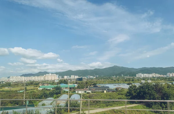 Vue Haut Sur Ville Sud Coréenne Loin Quelques Serres Plantes — Photo