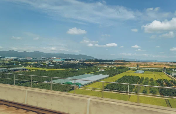 Güney Kore Kırsal Kesiminde Bitki Meyve Bahçeleri Olan Sera Tarım — Stok fotoğraf