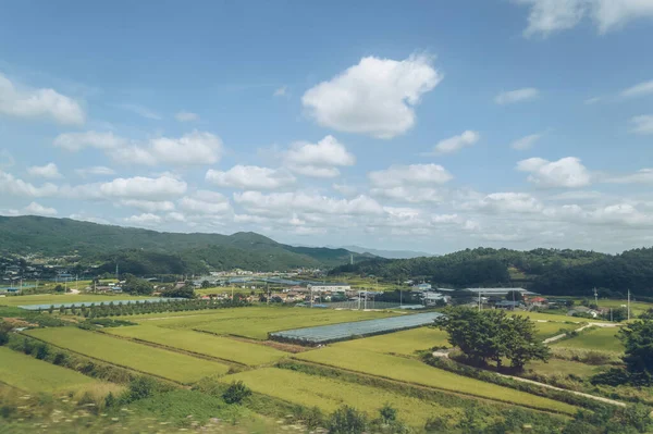 Vue Sur Petit Village Coréen Avec Champs Agricoles Montagnes Environnantes — Photo