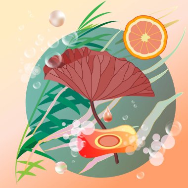 Doğal sabunun içerikli ve sabun köpüklü kavramsal çizimi