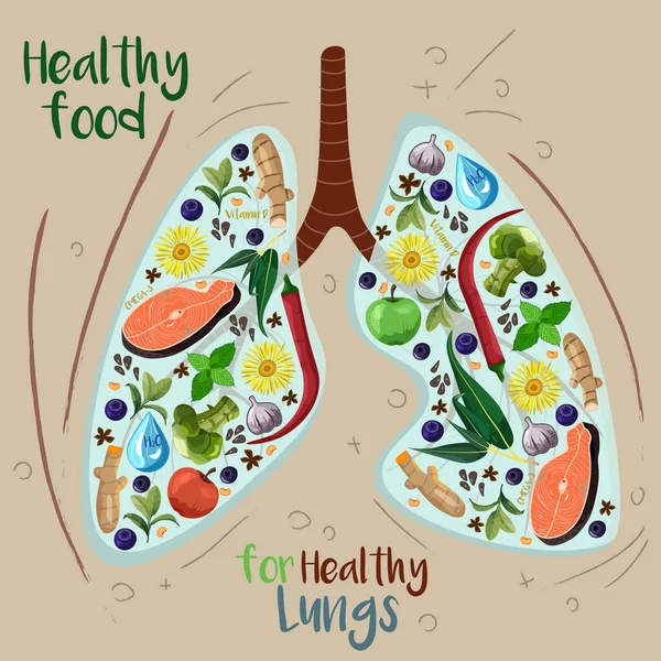 Ilustración Vectorial Pulmones Llenos Variedad Alimentos Hierbas Buenas Para Salud — Archivo Imágenes Vectoriales