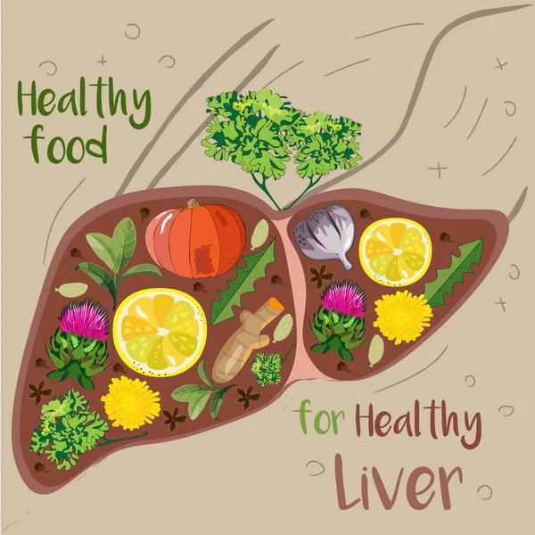 Ilustración Vectorial Hígado Lleno Hierbas Alimenticias Especias Buenas Para Salud — Vector de stock