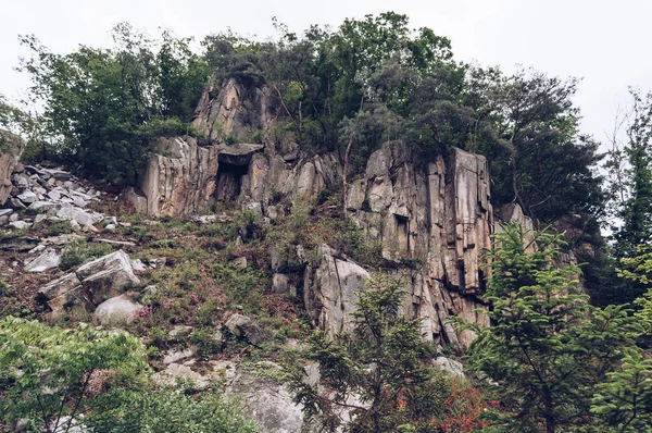 Pemandangan Dari Bawah Tebing Berbatu Dengan Pohon Dan Tanaman Tumbuh — Stok Foto